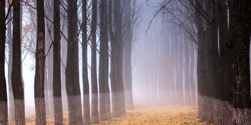 NLP 7 day Practitioner Coaching Course
